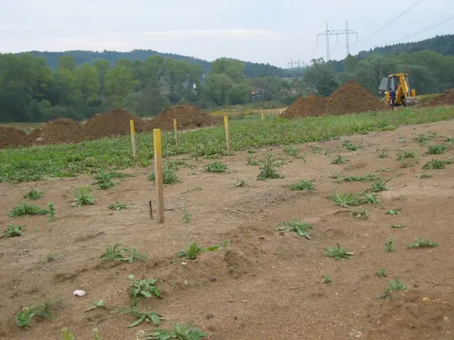 Vytyčení RD